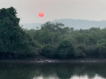 put emphasize smell for henna pervades put emphasize Indian subcontinent